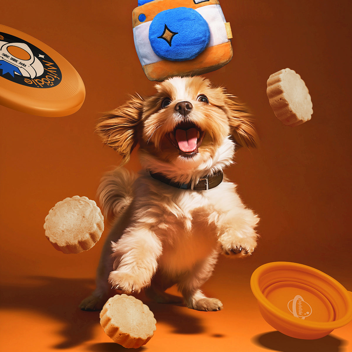Gifts for Pets
